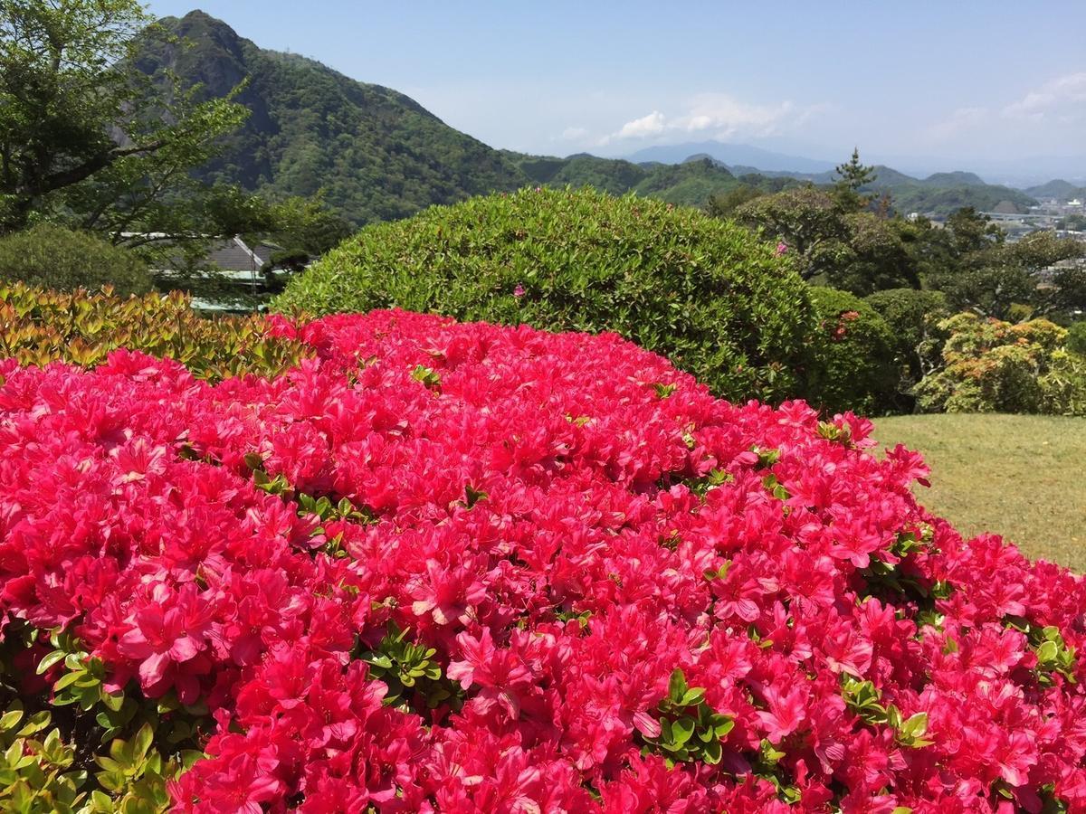 Ohito Hotel Izunokuni المظهر الخارجي الصورة